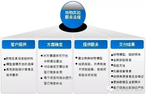 群英醫(yī)學(xué)動(dòng)物模型構(gòu)建服務(wù)