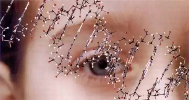 600億計劃，精準(zhǔn)醫(yī)學(xué)第一階段重點研究方向解讀