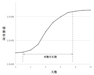 培養(yǎng)細(xì)胞的典型生長(zhǎng)模式圖